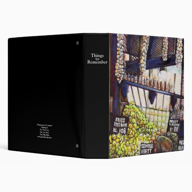 Dimensions of Curiosity Binder (Background)