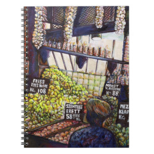 Dimensions of Curiosity Notebook