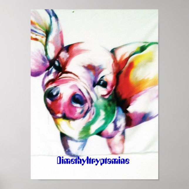 Dimethyltryptamine Poster (Front)