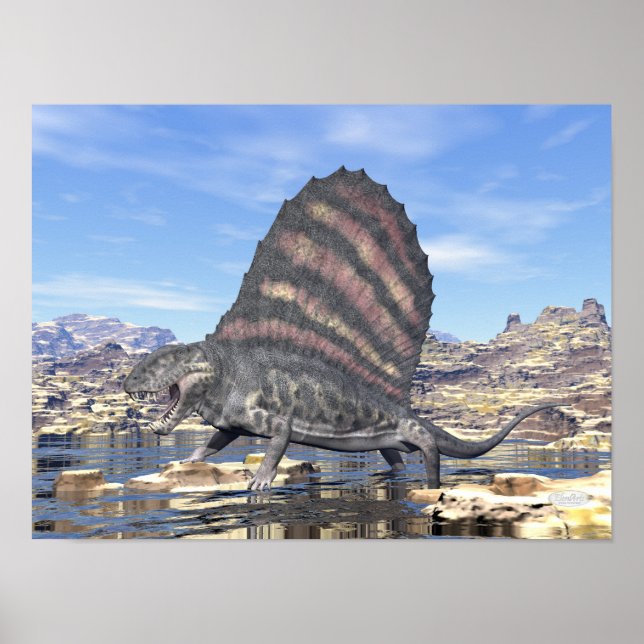 Dimetrodon standing in a pond in the desert poster (Front)