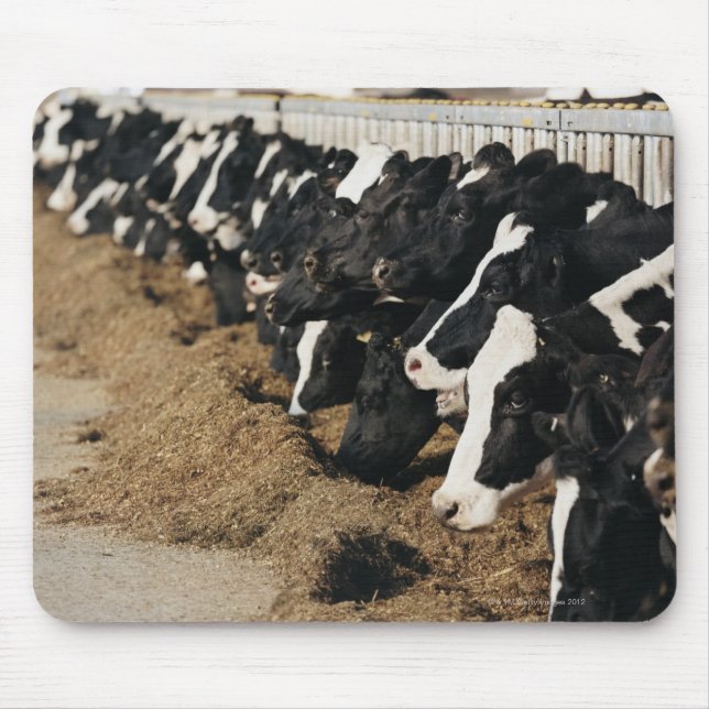 Diminishing Perspective of Cow's Heads Grazing Mouse Pad (Front)