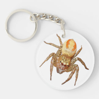 Dimorphic Jumping Spider (Maevia inclemens) Keychain