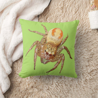 Dimorphic Jumping Spider (Maevia inclemens) Throw Pillow