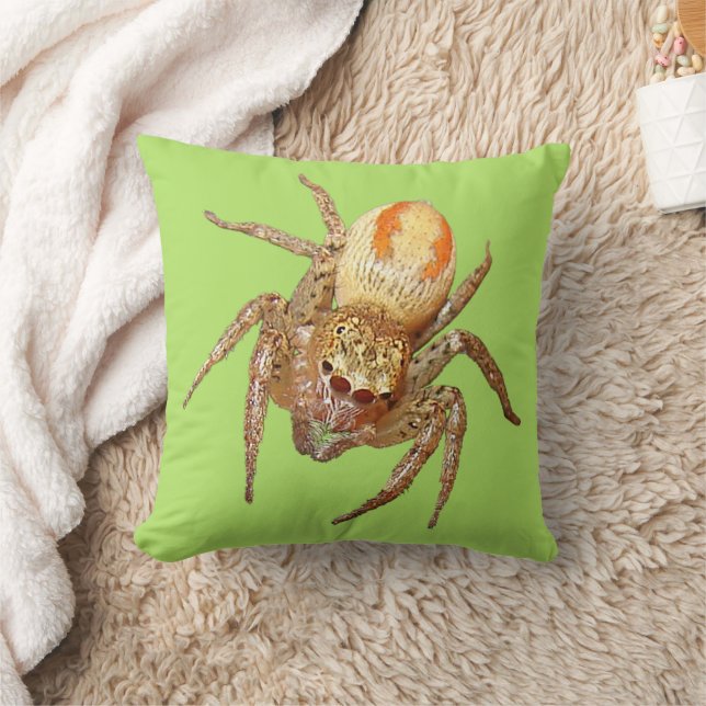 Dimorphic Jumping Spider (Maevia inclemens) Throw Pillow (Blanket)