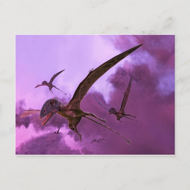 Dimorphodons Flying out of the Clouds Postcard (Front)