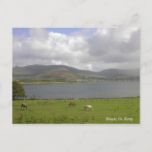 Dingle Bay, Co. Kerry Postcard