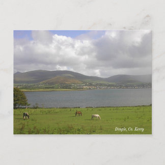 Dingle Bay, Co. Kerry Postcard