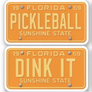 Dink It Pickleball Fan -Retro FL License Plate 2pc