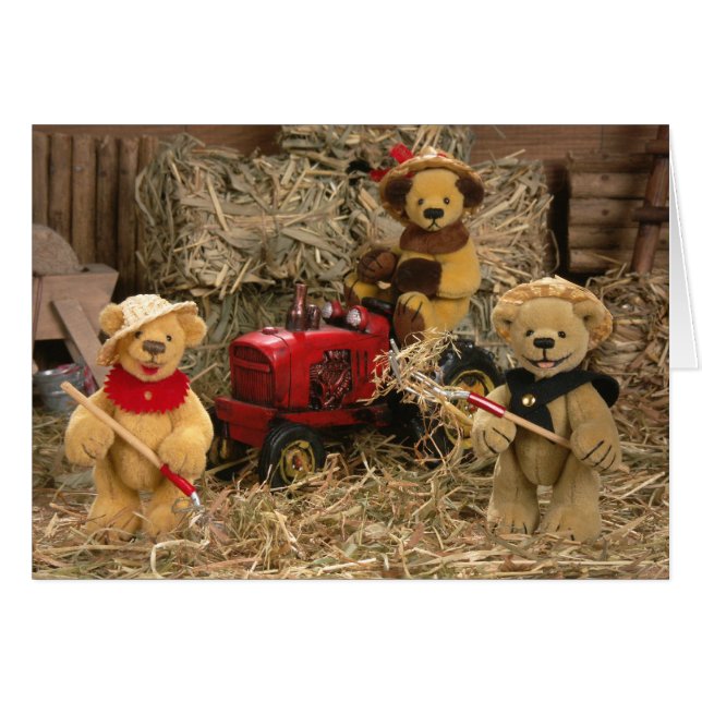 Dinky Bears: Farmer Kids (Front Horizontal)