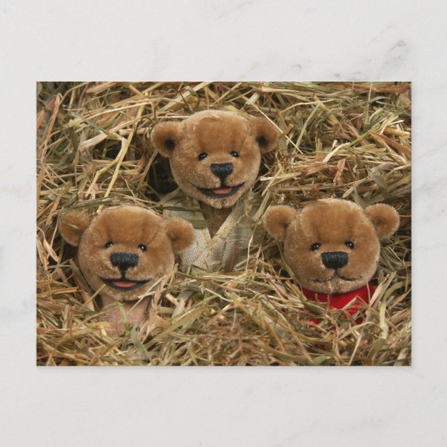 Dinky Bears: Farmer Kids Postcard (Front)