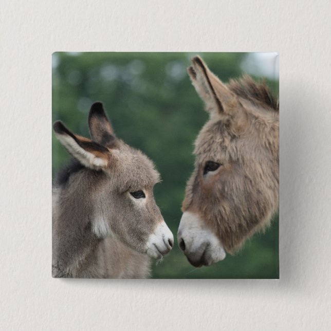Dinky donkey 2 inch square button (Front)
