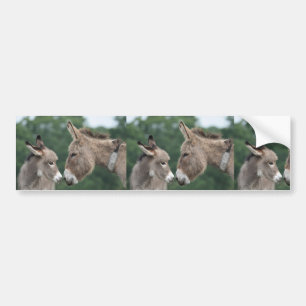 Dinky donkey bumper sticker