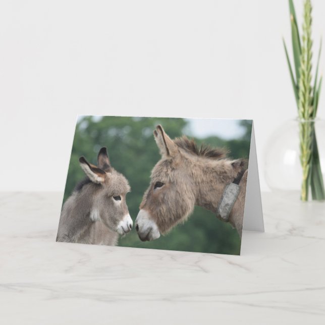 Dinky donkey card (Front)