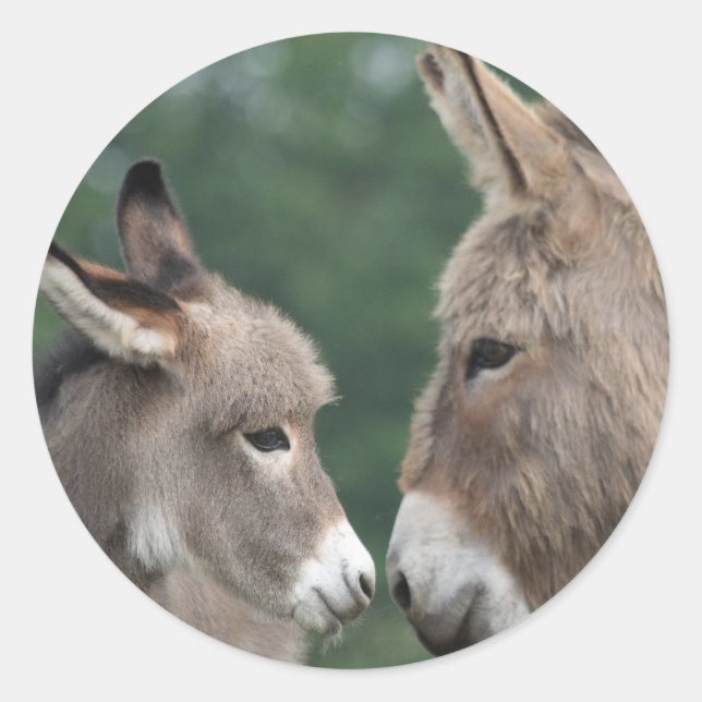 Dinky donkey classic round sticker (Front)