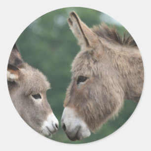 Dinky donkey classic round sticker