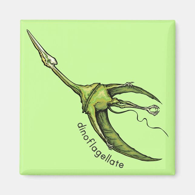 Dinoflagellate Magnet (Front)
