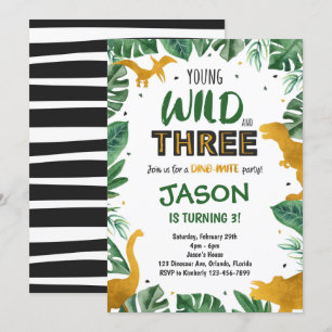 Dinosaur 3rd Birthday Invitation, Dinosaur Invites