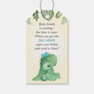 Dinosaur Baby Boy Shower Sprinkle Bottle Favour Gift Tags