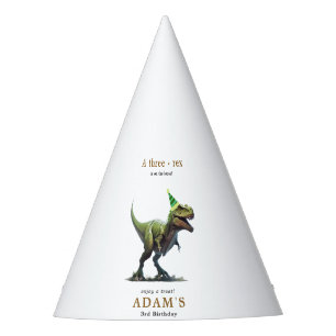 Dinosaur Birthday Theme Three Rex Dino Boys Party Hat