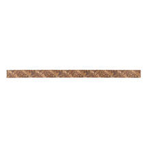 Dinosaur Bone Ribbon 1