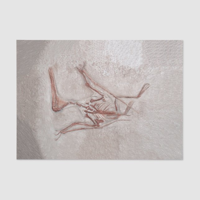 Dinosaur Bones Old Prehistoric Sketch Art Tissue Paper (Front)