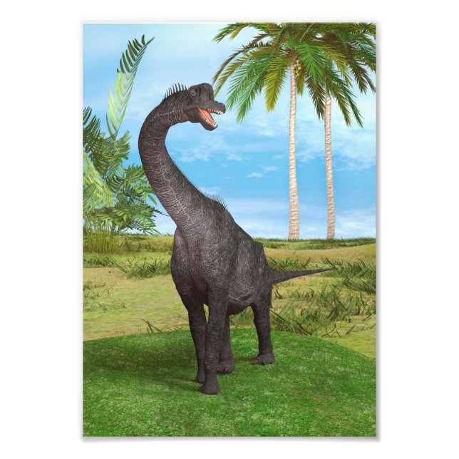 Dinosaur Brachiosaurus Photo Print (Front)