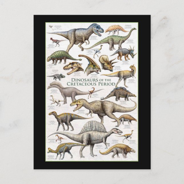 Dinosaur chart background  postcard (Front)