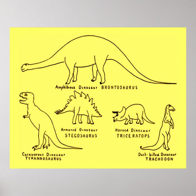 Dinosaur Classification Poster (Front)