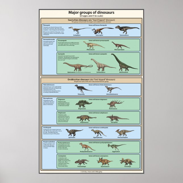 Dinosaur Classification Simplified Poster (Front)