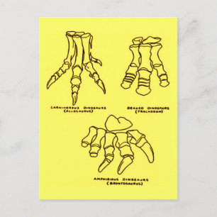 Dinosaur Foot Bones Postcard