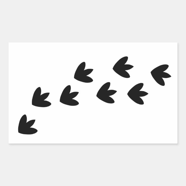 Dinosaur Footprints Sticker (Front)