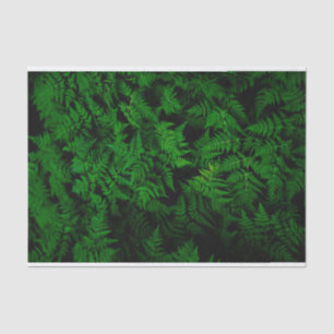 Dinosaur Forest Tissue Paper
