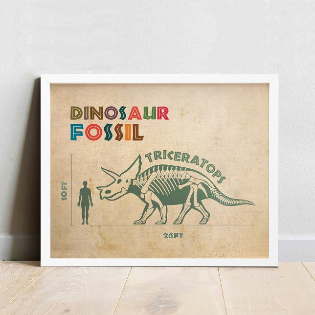 Dinosaur Fossil 3 Poster (Creator Uploaded)