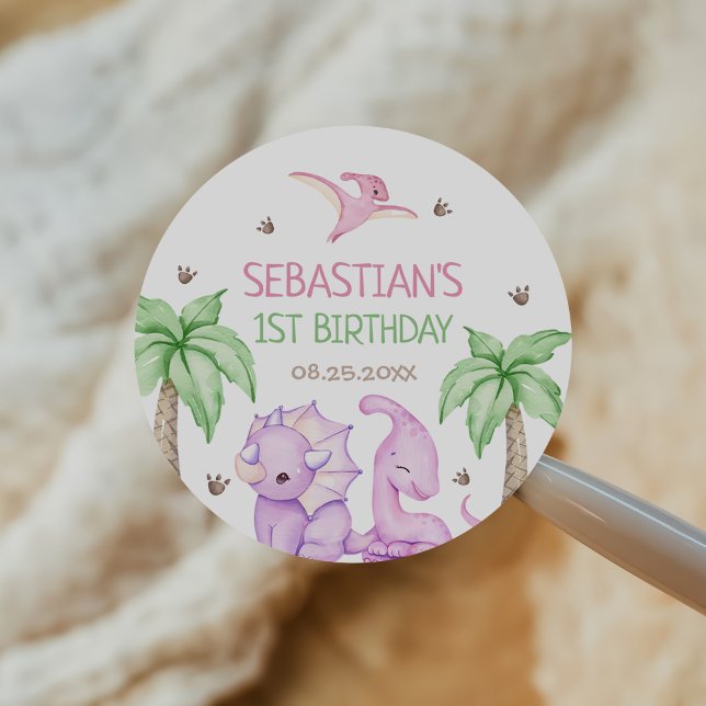 Dinosaur One-A-Saurus Girl 1st Birthday Party Classic Round Sticker (Creator Uploaded)