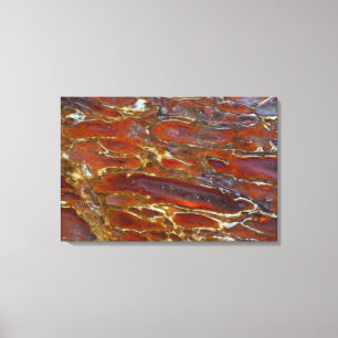 Dinosaur Petrified Bone Canvas Print
