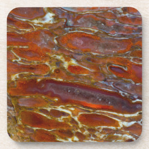 Dinosaur Petrified Bone Coaster