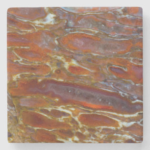 Dinosaur Petrified Bone Stone Coaster