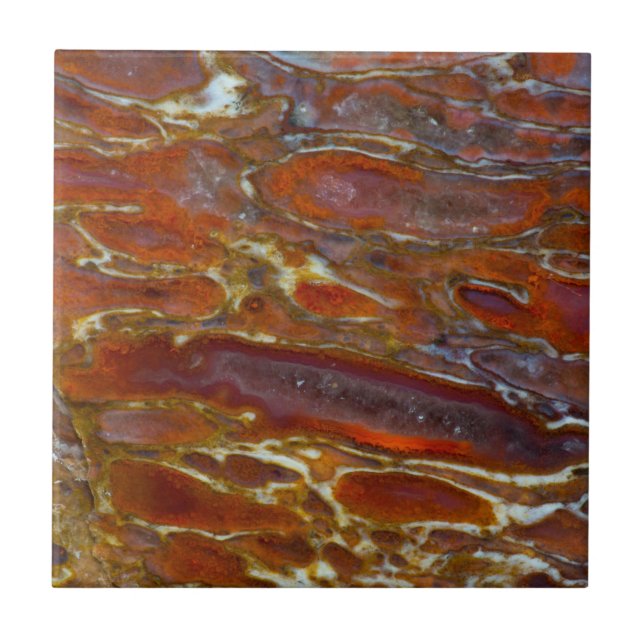 Dinosaur Petrified Bone Tile (Front)