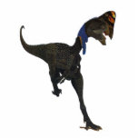 Dinosaur Photo Sculpture Oviraptor Gregory Paul<br><div class="desc">Oviraptor,  a bizarre dinosaur from Mongolia.</div>