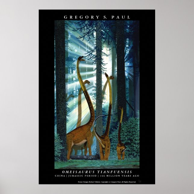 Dinosaur Poster Omeisaurus Gregory Paul (Front)