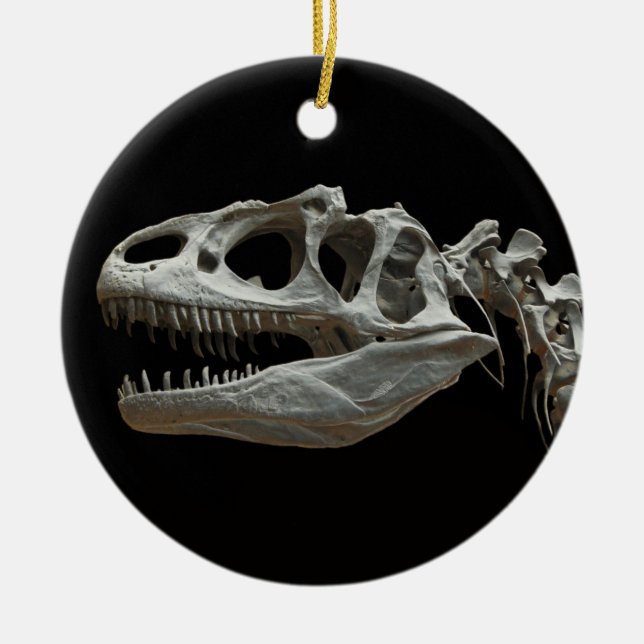 Dinosaur Skeleton Ornament (Front)