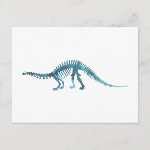 Dinosaur Skeleton Postcard