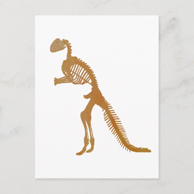 dinosaur skeleton postcard (Front)