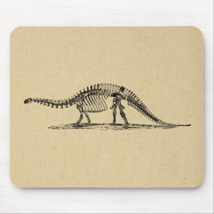 Dinosaur Skeleton Vintage Art Mouse Pad