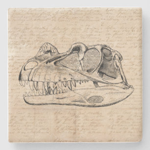 Dinosaur Skull Illustration & Antique Script Paper Stone Coaster