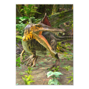 Dinosaur Spinosaurus Photo Print