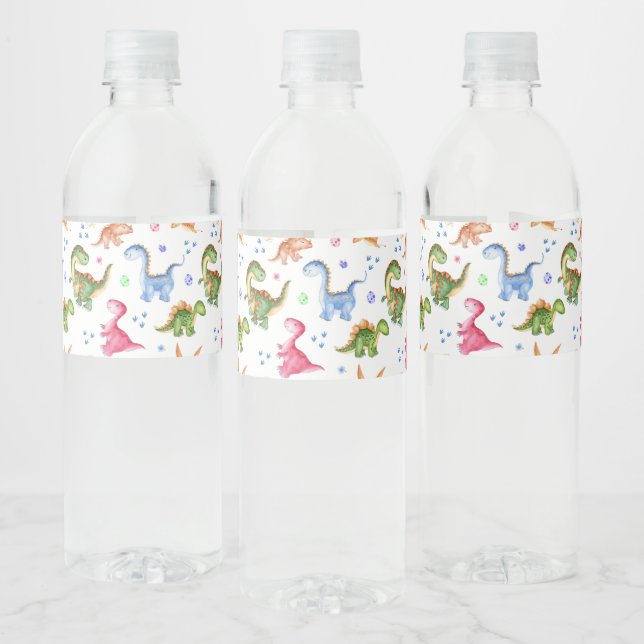 Dinosaur Stomp Chomp Roar Birthday Party Water Bottle Label (Bottles)