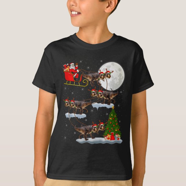 Dinosaur T-rex Santa Sleigh Flying Funny Magical C T-Shirt (Front)
