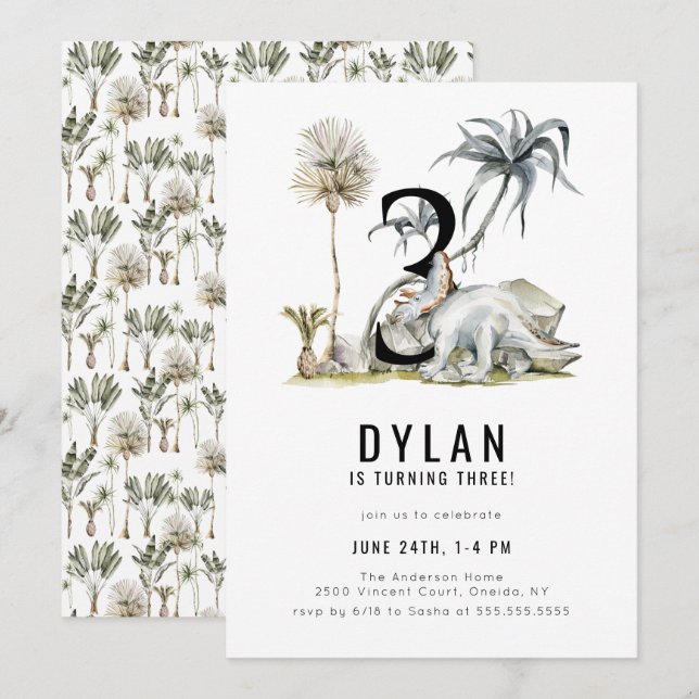 Dinosaur Theme 3rd Birthday Party Invitation (Front/Back)