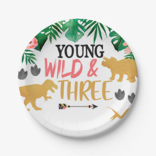 Dinosaur Third Birthday Party Plates